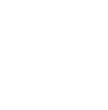420 Innovations- und Technologie- beratungen