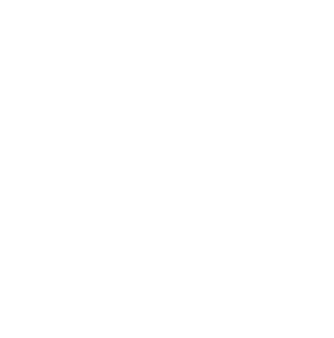 48 411 Ursprungszeugnisse ausgestellt