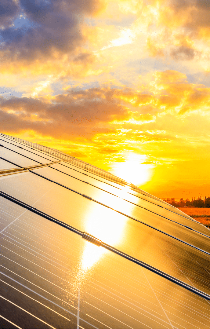 Photovoltaic solar panels on sunset sky background,green clean energy concept 