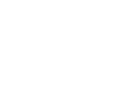   Ein Unternehmer ist kein Unternehmer, sondern ein Verwalter, wenn er nicht den Mut hat, Fehler zu machen   Reinhard   