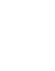 8 fachspezifische Existenzgründungsveranstaltungen organisiert