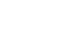 48 411 Ursprungszeugnisse ausgestellt