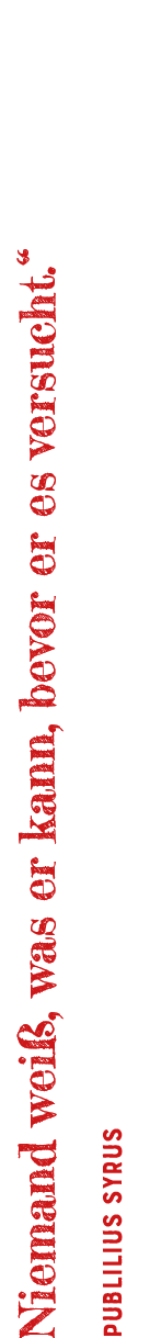   Niemand weiß, was er kann, bevor er es versucht     Publilius Syrus 